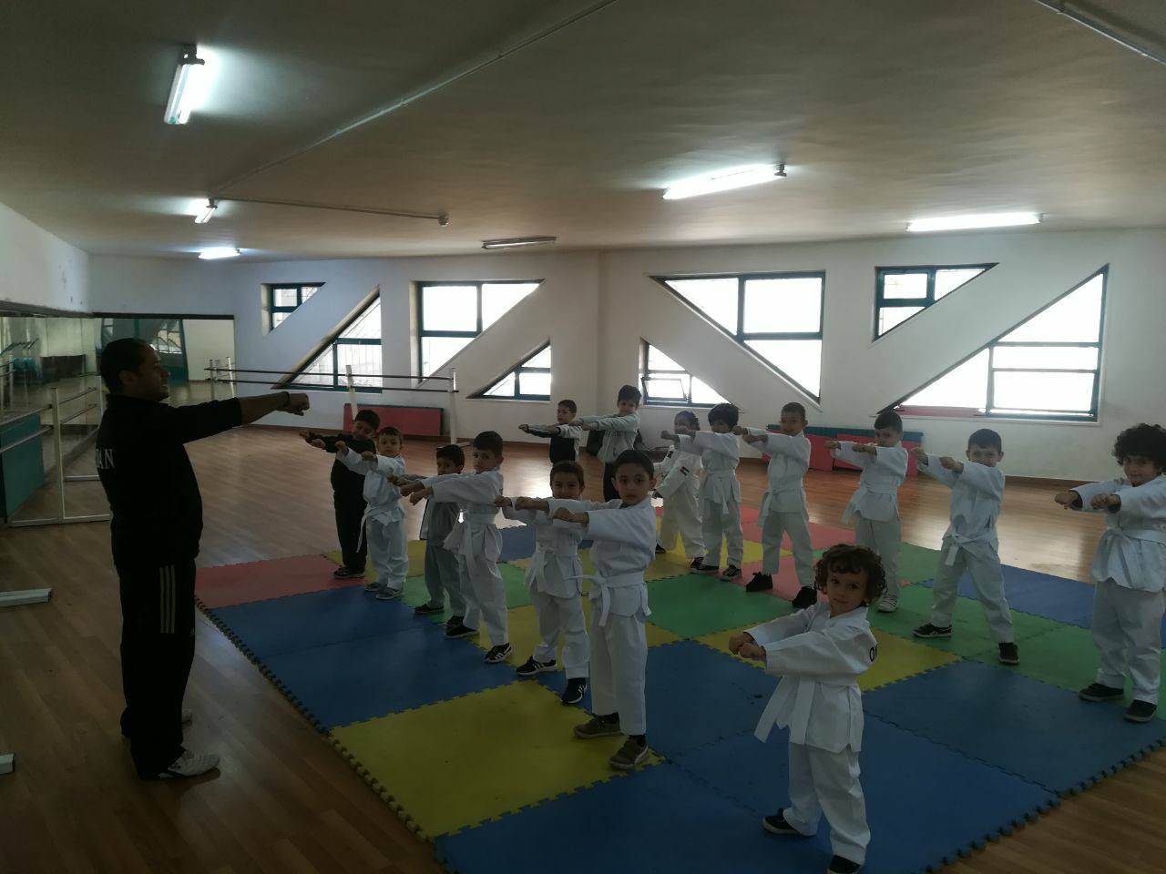 Taekwondo Training.