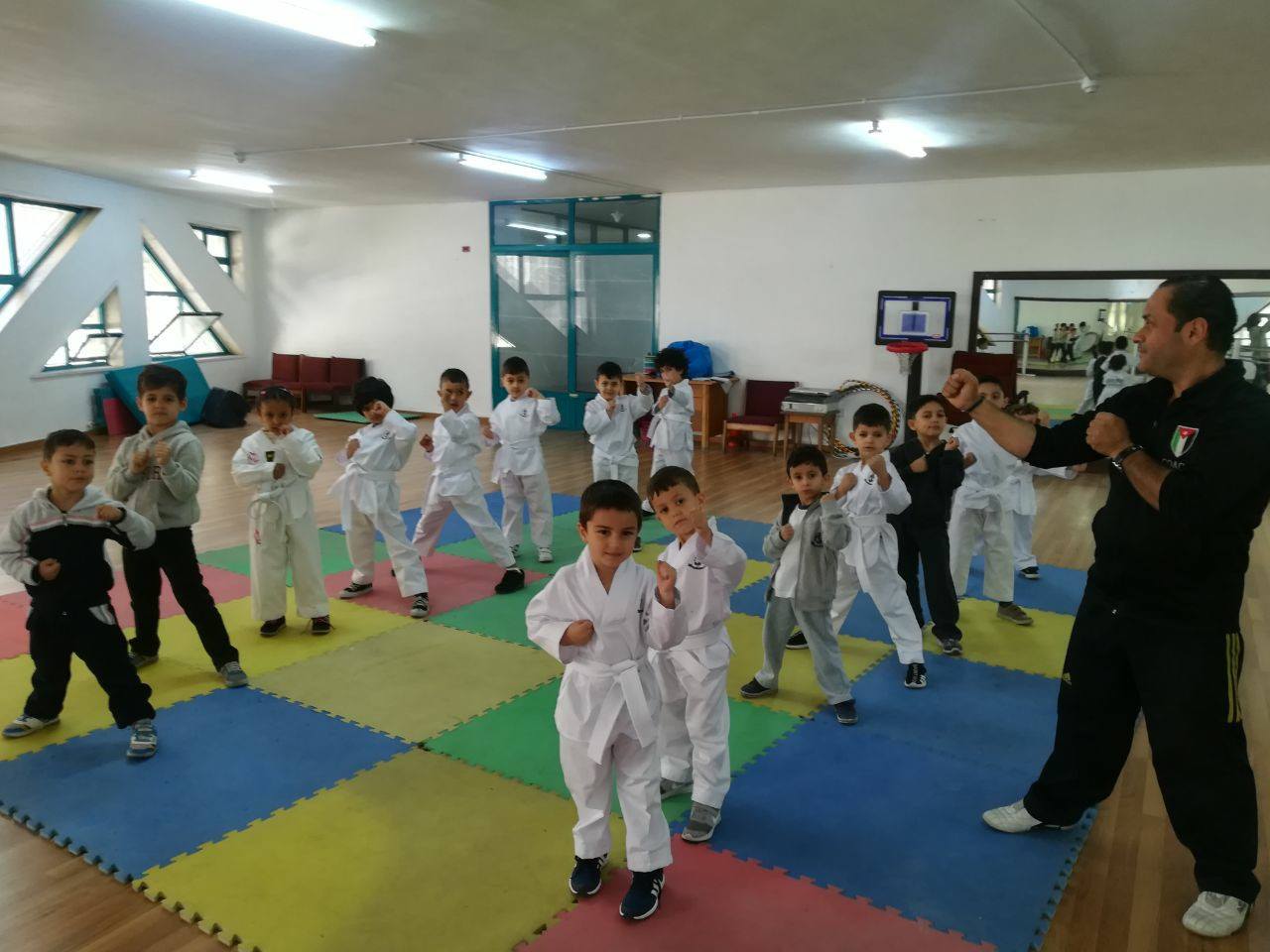 Taekwondo Training.