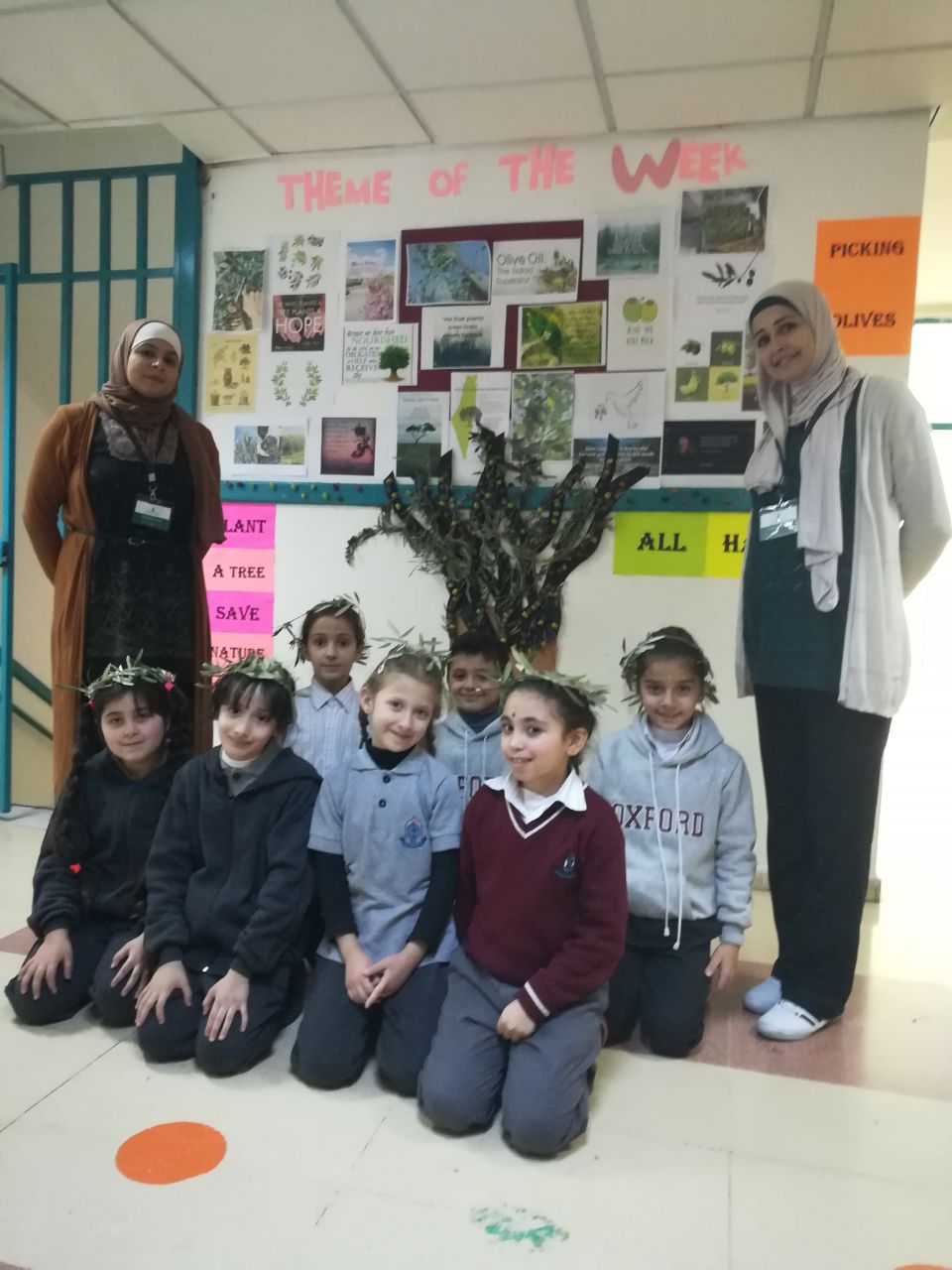 Olive Tree Activity - Elementary Section.