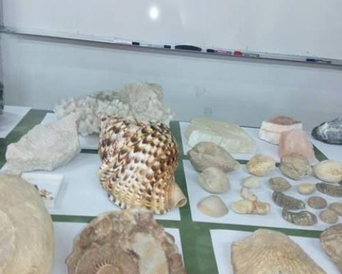 University of Jordan Labs