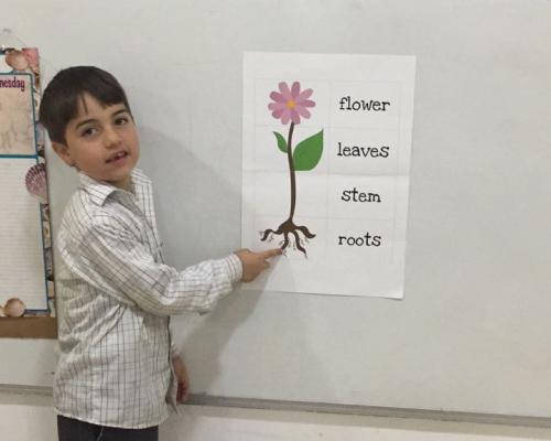 Show &amp; Tell - Kindergarten Section